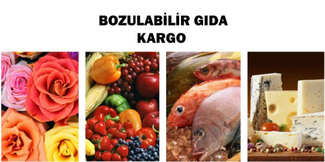 bozulabilir gıda kargo