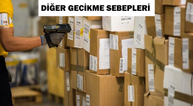 diğer gecikme sebepleri