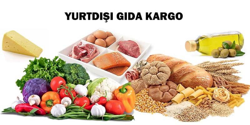 Gıda Kargo Yurtdışına Gıda Nasıl Gönderilir?